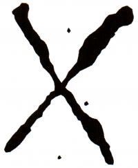 X Cross 1
